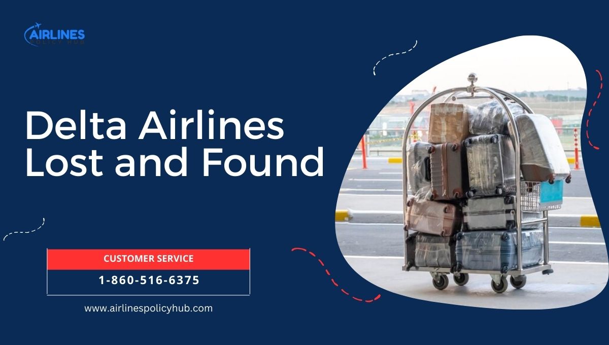 Delta Airlines Lost and Found